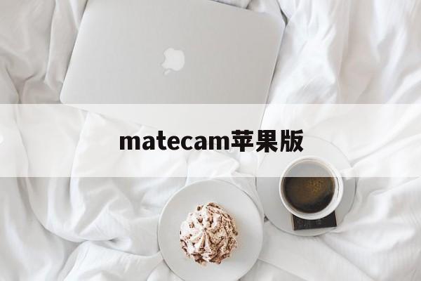 matecam苹果版(matecam安卓版 1233)-第1张图片-QuickQ官网