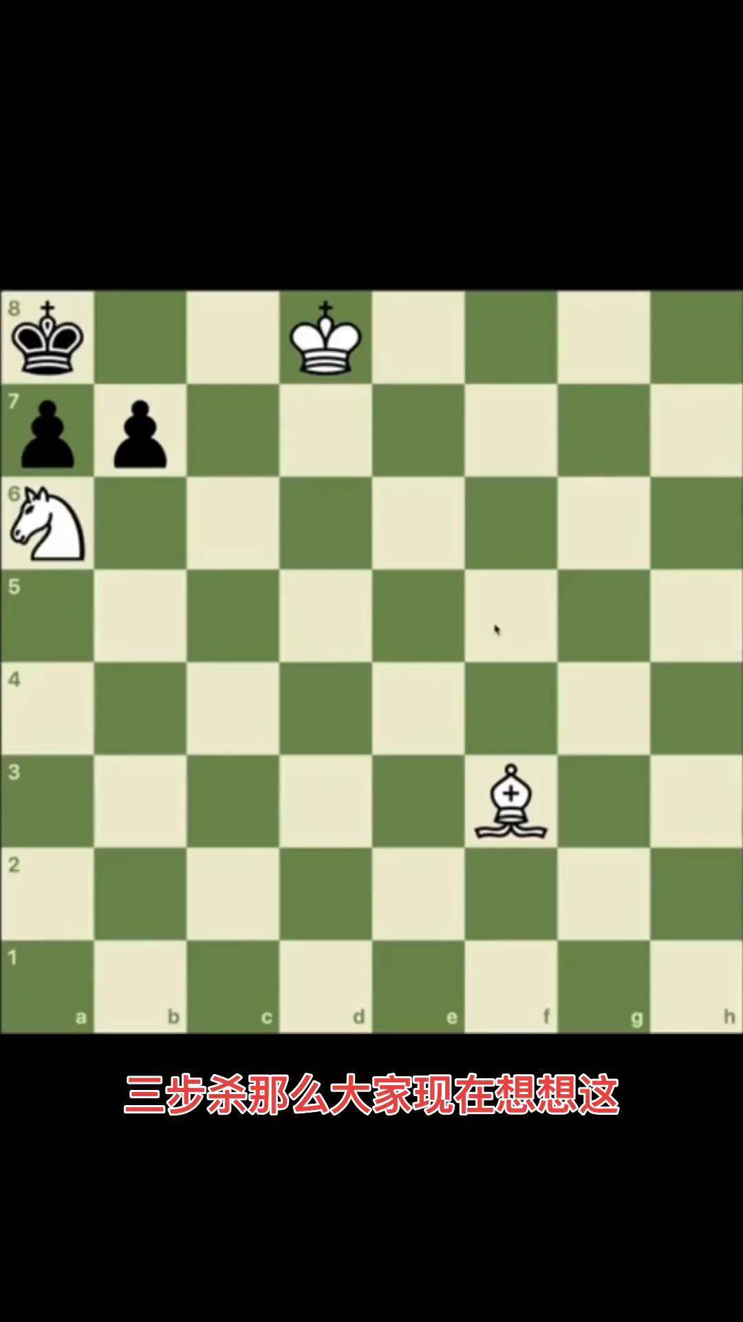 战斗国际象棋手机版(战斗国际象棋六百八游戏视频)-第3张图片-QuickQ官网