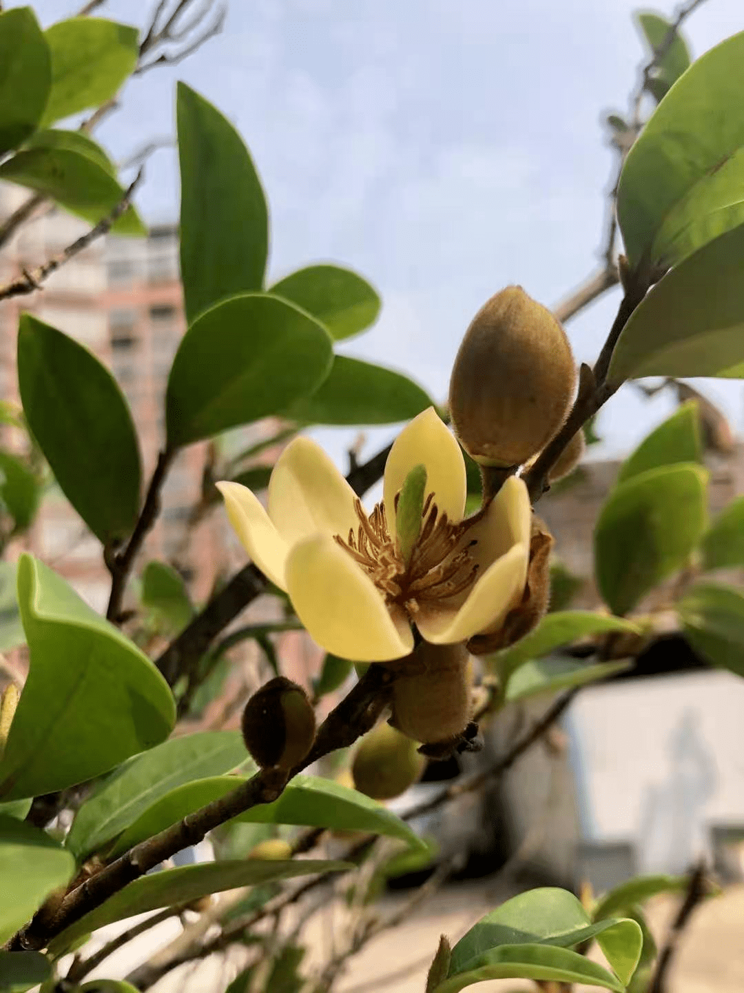 浦北天天网手机版(浦北天天网房屋出售)-第2张图片-QuickQ官网 浦北天天网手机版(浦北天天网房屋出售)-第2张图片-QuickQ官网