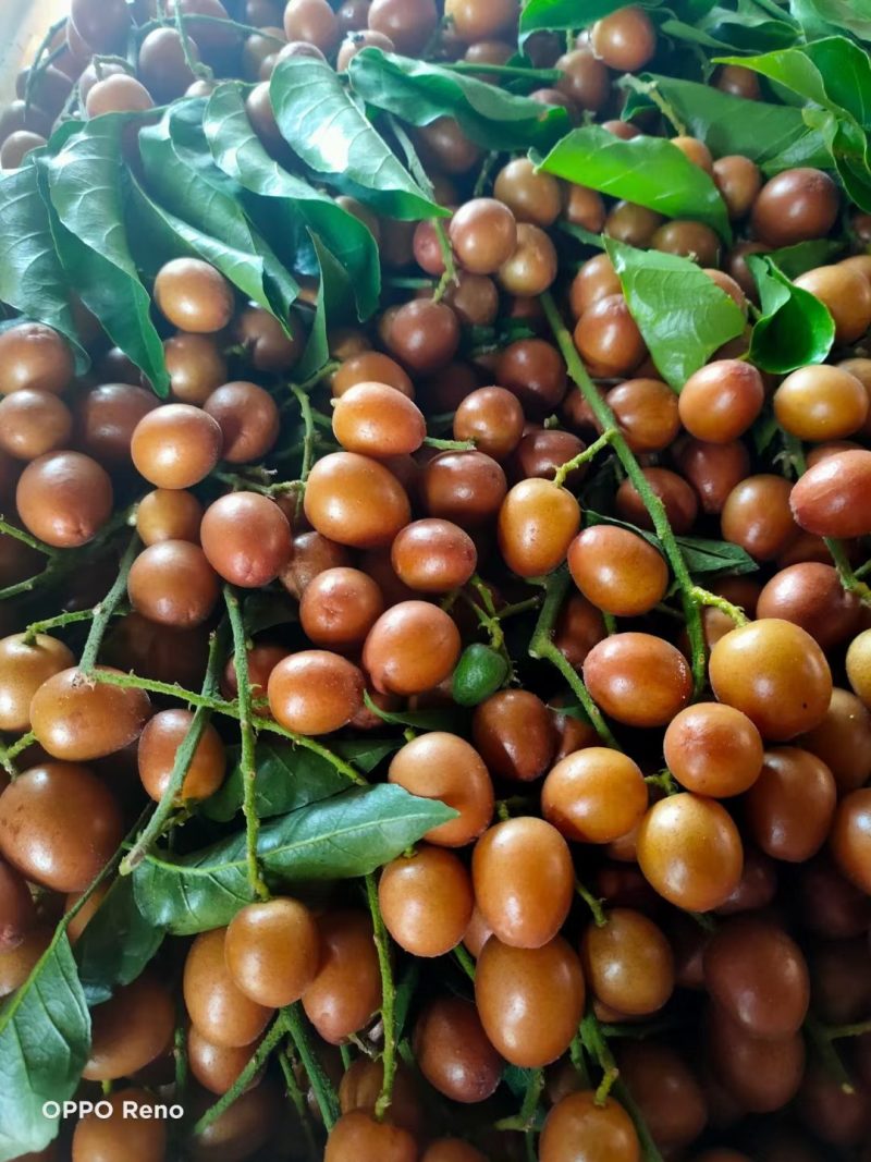 浦北天天网手机版(浦北天天网房屋出售)-第5张图片-QuickQ官网 浦北天天网手机版(浦北天天网房屋出售)-第5张图片-QuickQ官网