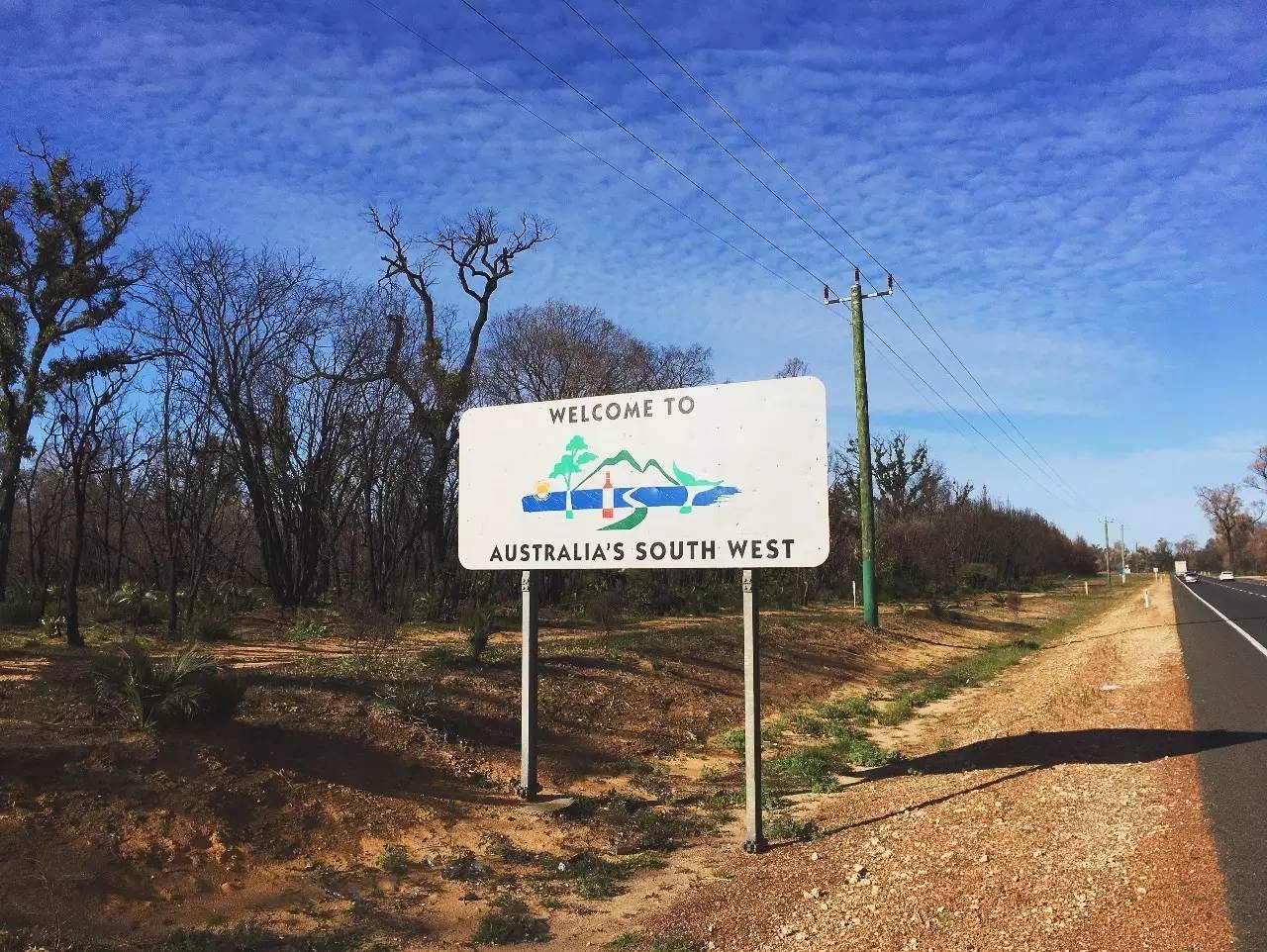 dlife苹果版(dlife苹果版本)