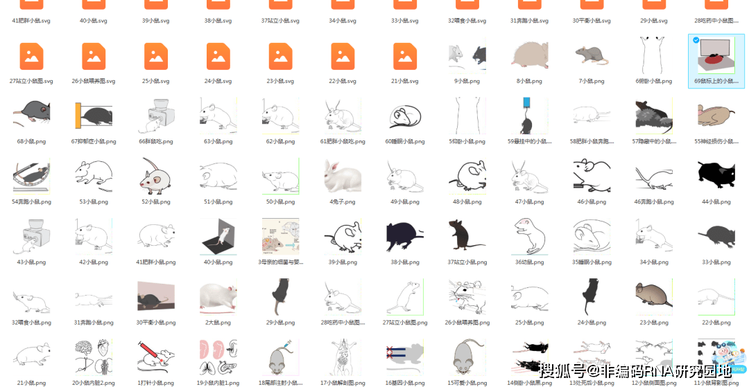 绘画临摹软件苹果版
:资源共享 | 69份大小鼠兔子矢量素材限时领取，快来一起看看学习一下吧~