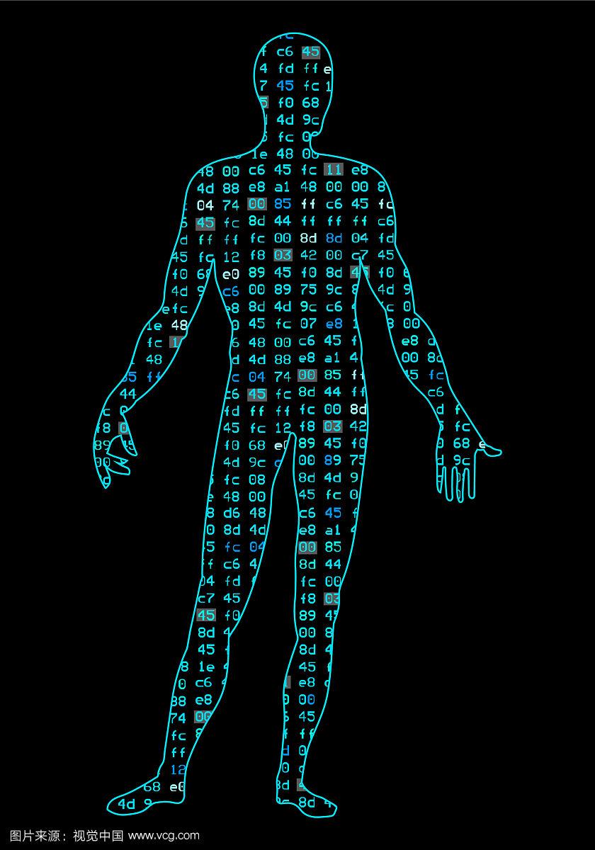 身体轮廓手机版下载(身体轮廓的秘密+电影)